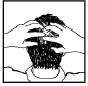 image3.jpeg