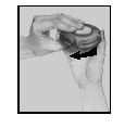 image10.png