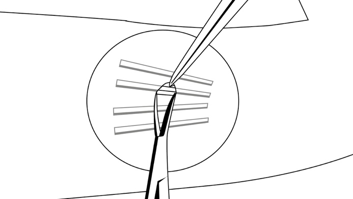 image17.jpeg