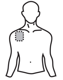 image3.png