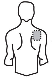 image6.png