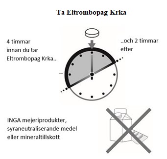 image3.jpeg