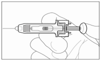 image3.png