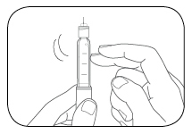 image11.jpeg