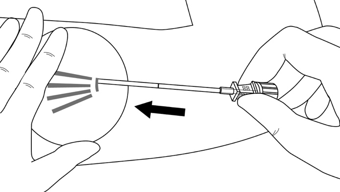image7.jpeg