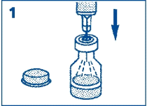 image1.png