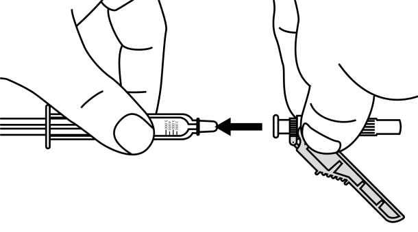 image8.png